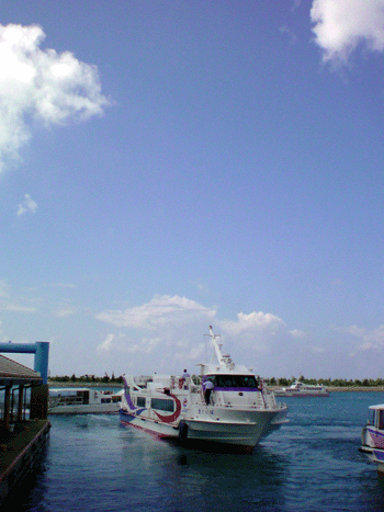 20080715-01.gif