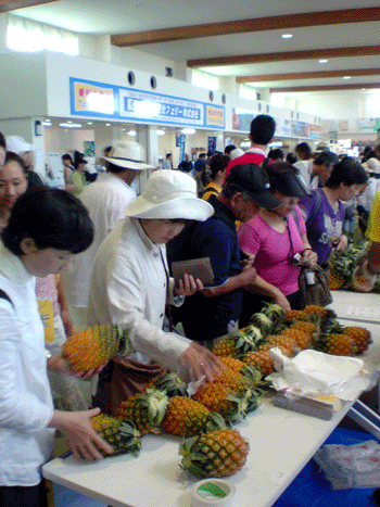 20080715-02.gif