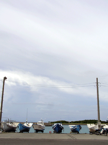 20080716.gif