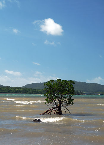 20080719-1.jpg