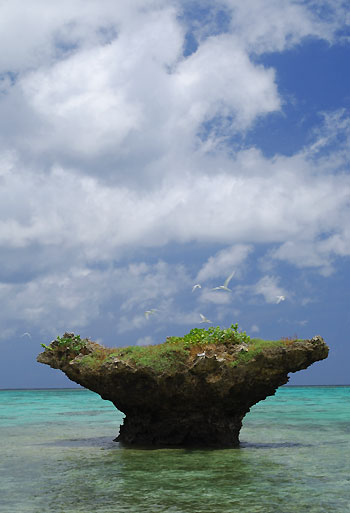 20080719-2.jpg