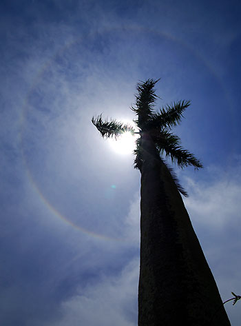 20080722-3.jpg