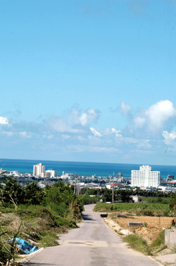 20080826.gif