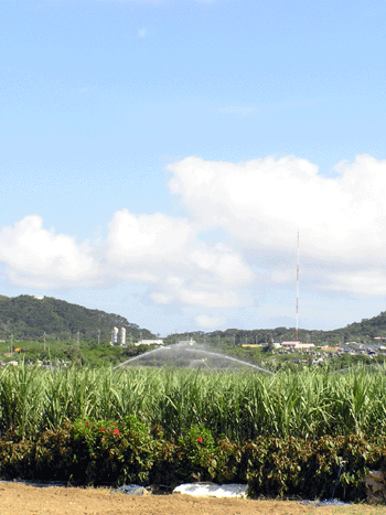20080827.gif