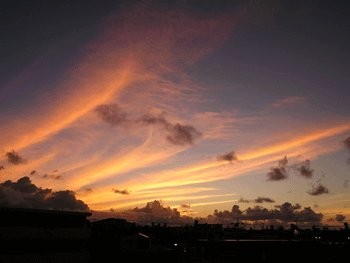 20080829-2.gif