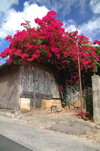 20080830-2.jpg