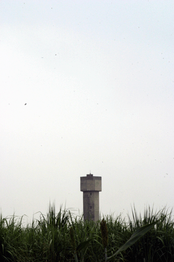 20080903.gif