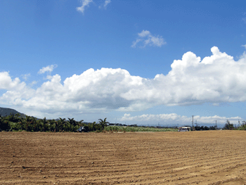 20080921-1.gif 20080921-1.gif