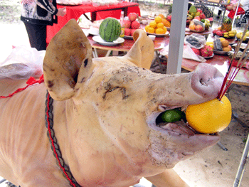 20080921-3.gif 20080921-3.gif