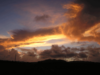 20080921-5.gif 20080921-5.gif