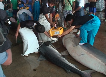 news080906.JPG news080906.JPG