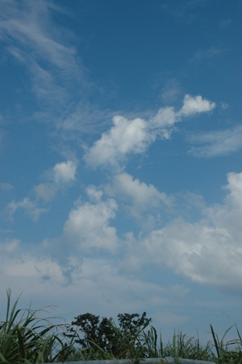 today080724.JPG