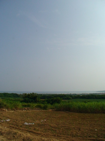 today0809042.JPG