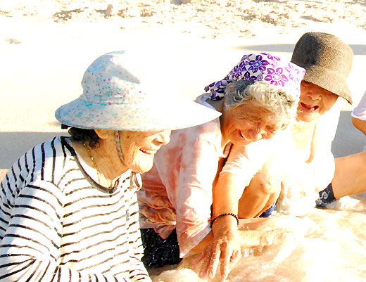 hte20080903-3.jpg