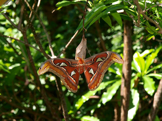 yna20080825-1.jpg