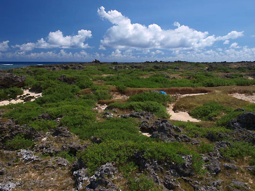 yna20080901-1.jpg