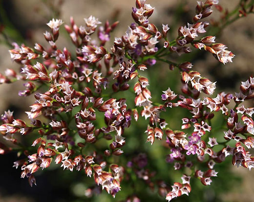 yna20080901-3.jpg