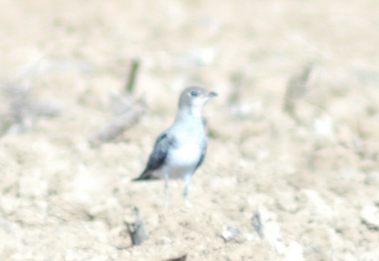 NEWS080831.JPG
