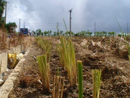 news080714.JPG