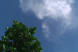 news080715.JPG