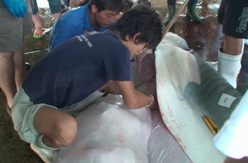news080905.JPG