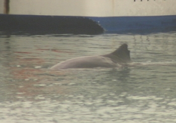news080907.JPG