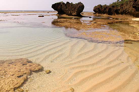 20080416-1.jpg