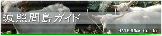 ÇȾȴÖÅ祬¥¤¥É¡¡ÇȾȴÖÅç¤Î´Ñ¸÷¡¦¿©¡¦Ê¸²½¡¦½ÉÇñ¡¦¸òÄ̾ðÊó¡ª