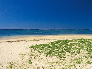 南風見田の浜