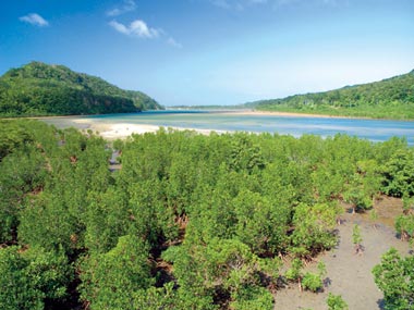 浦内川
