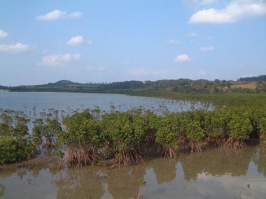 石長田海岸