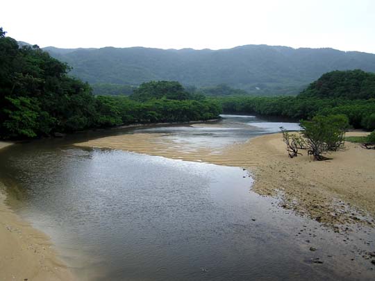 石垣島PICKUP☆コラム「吹通川カヌー体験」