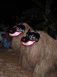 八重山イベント特集「あの世からの精霊アンガマ」