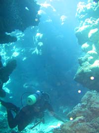 石垣島セレクト特集「世界に誇るサンゴの海」