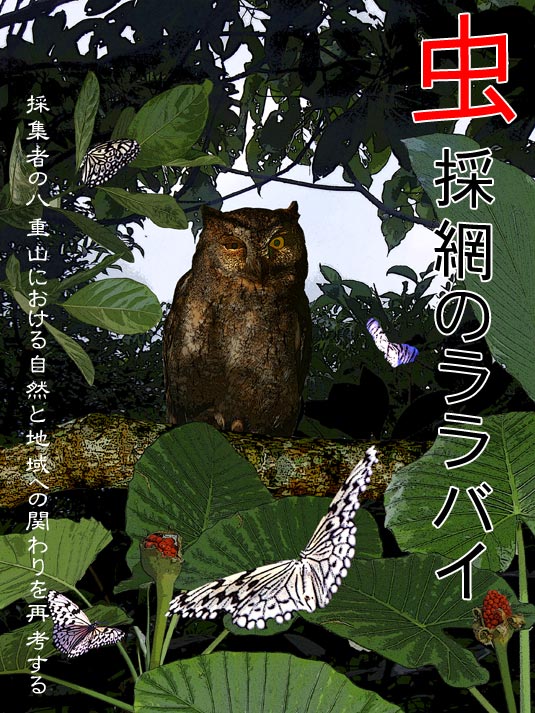虫採網のララバイ