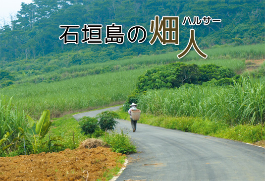 石垣島の畑人(ハルサー)