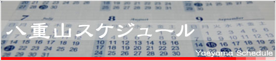 Ȭ�Ż��������塼��