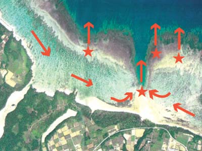 吉原海岸