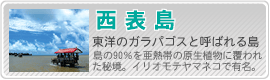 西表島