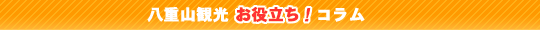 八重山観光コラム